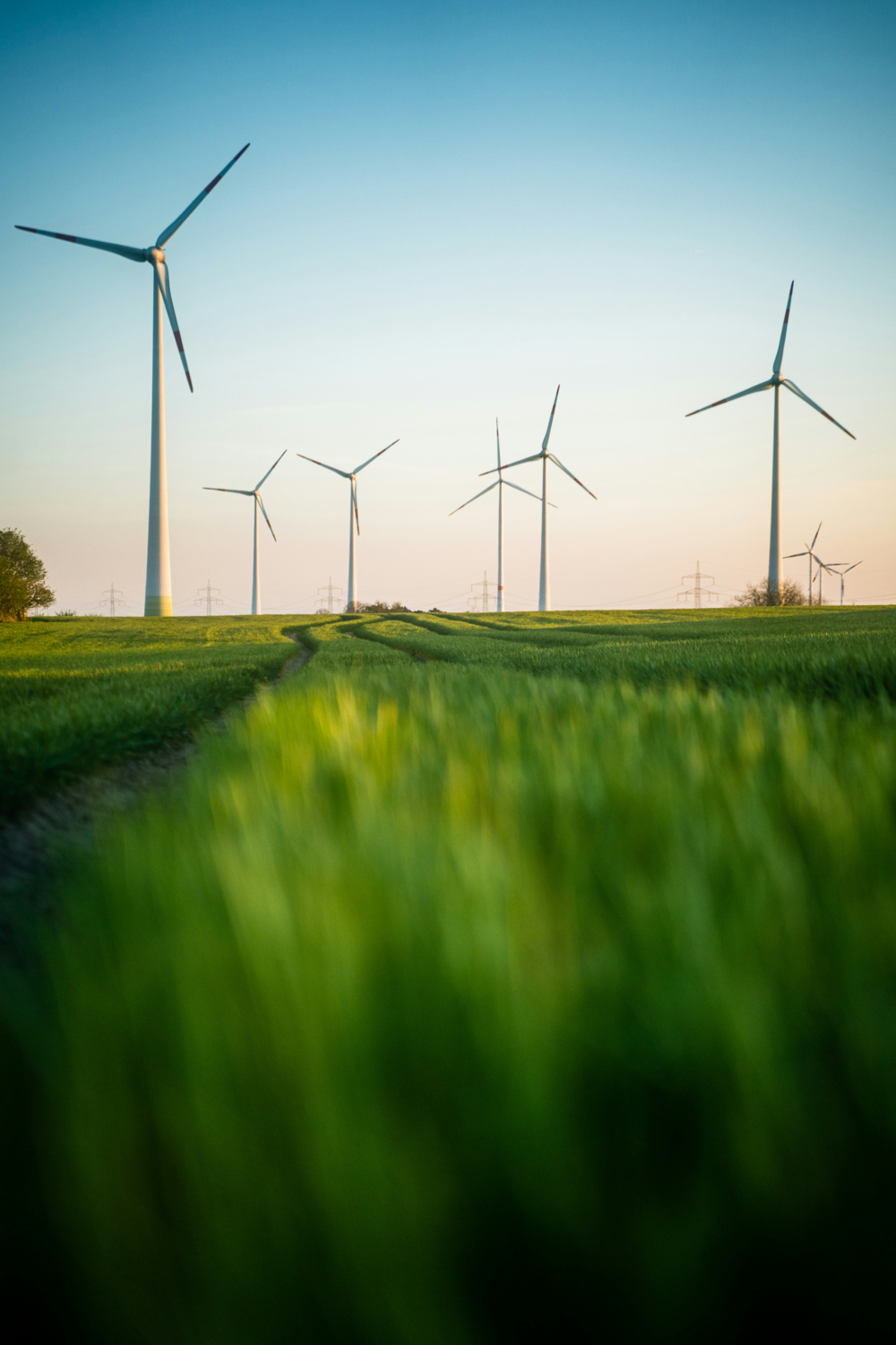Proposer des actions pour la transition énergétique